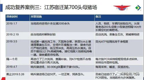 非瘟防控升级，2025猪场双保险方案