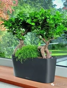 无土栽培基质的配置