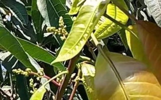 阴雨天气下的应急方案