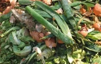 有些花友喜欢把鱼骨头铺在花盆底部Zuo基底肥，这也是可依的，只是不要太靠近根系，以免烧根。