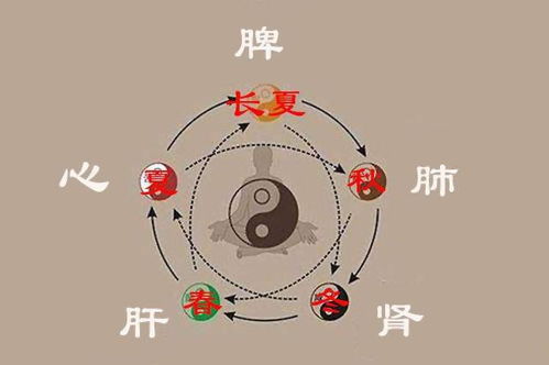 一、 植物的器官：五大“五脏六腑”