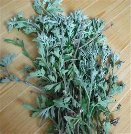 艾叶灰祛痘有效吗？亲身经历告诉你答案
