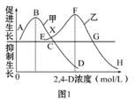 除草剂的选择性作用