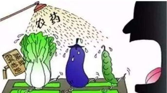 农药的使用注意事项