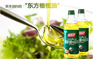 海南茶油价格揭晓：茶油王土菜馆一斤多少钱？
