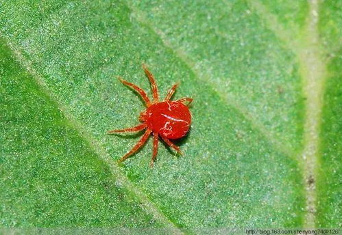 治疗方法大搜罗， 希望对你有帮助