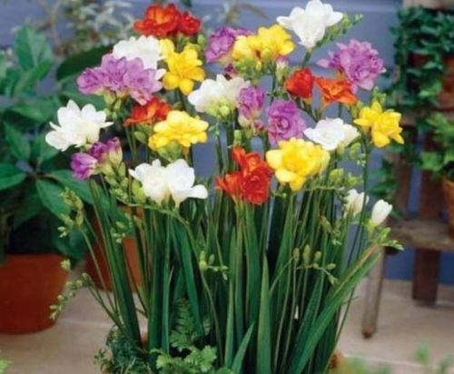 二、 新手种植，小心这些坑