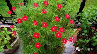 土壤的魔法， 酸碱平衡促生长