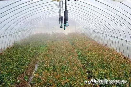 平安防护不Neng少