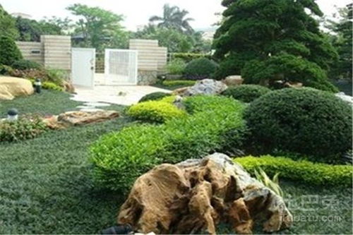 1. 松树：大门口的吉祥使者