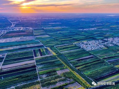 从粗放管理到精品特色， 从单打独斗到合作共赢