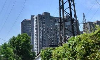 绿化覆盖率如何衡量