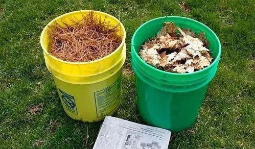 3. 丝瓜水也是好帮手