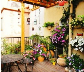 樱花树的美丽与用途