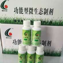 为什么乳酸菌发酵水产饲料总是失败？原因有哪些？