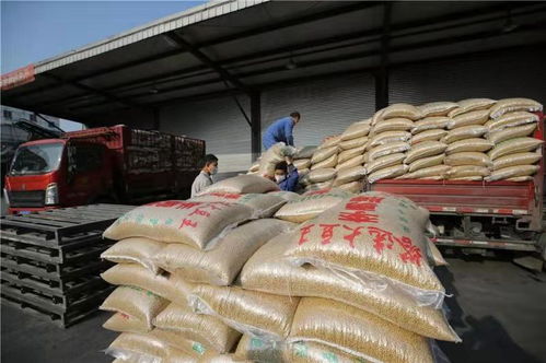 农业养殖易忽视：饲料营养、疫病防控、环境维护