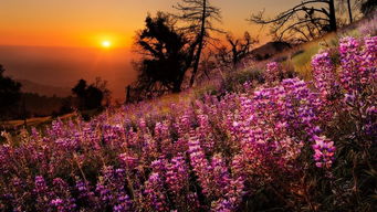 破壳期的狂飙模式