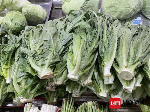 高温天气要小心