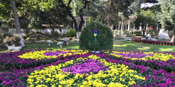 公园里的花， 形态各异