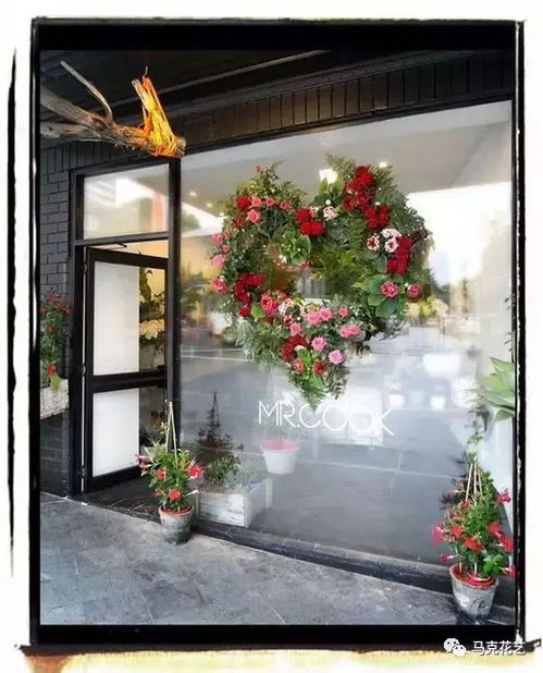 络石藤：四季常绿，花朵灿烂