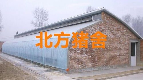 猪舍建设十禁：远离水源