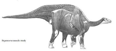 如何选择教学内容