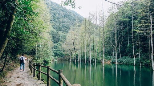 1. 茫茫大山中的花海仙境