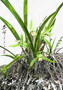 寒梅傲雪，翠竹挺立，兰花幽香，三友花韵，雅韵盎然
