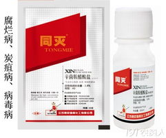 阿米妙收对灰霉病的效果究竟怎么样？