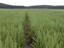 价格影响因素大揭秘