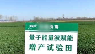 科技赋能，精准种植