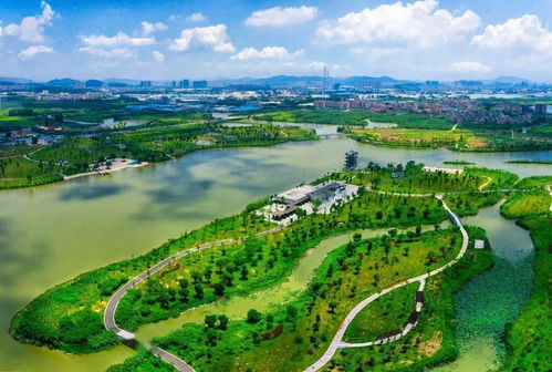 水陆两栖的狠角色——香蒲