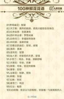 解读暧昧的花语：探究花语中的隐含意义与情感心理