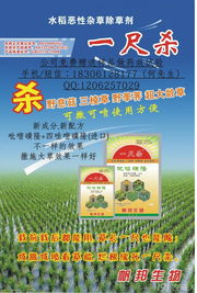 喹草酮除草剂成分中含有的吡嘧磺隆，那么吡嘧磺隆除草剂的主要成分是什么？