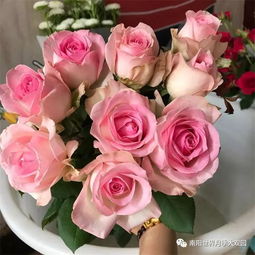 桃红雪山月季的香味和耐寒性揭秘，北方种植是否可行？