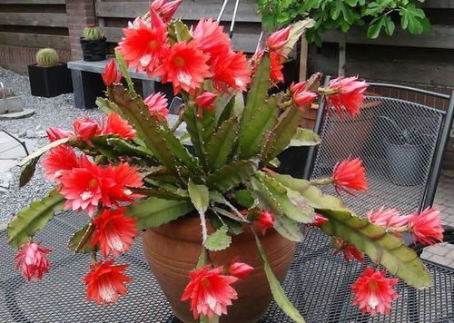 找个暖和的地方