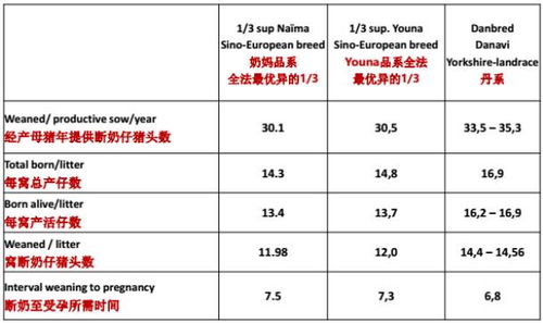 新疆猪场高效养殖，PSY成绩亮眼