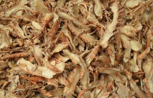 收获时间与方式