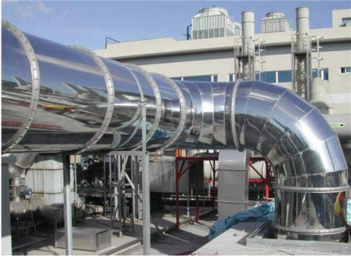 揭秘：铁树如何应对极端温度？科学解读其对环境的敏感度！