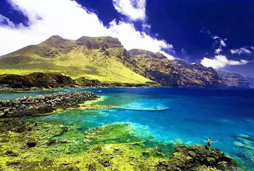 英国：绿意盎然的守护者，环保意识真的强吗？