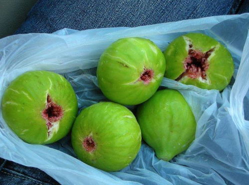 无花果属于秋季水果，因其果实成熟时正值秋季而得名