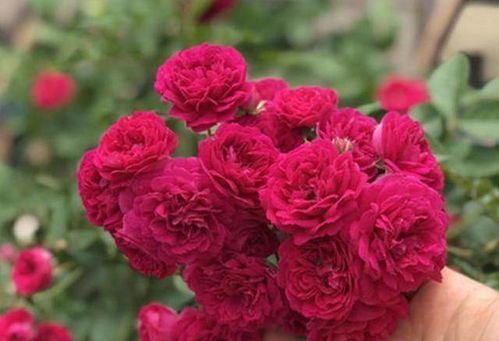 边缘设计， 细节决定成败