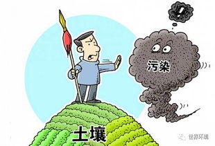 土壤污染的风险