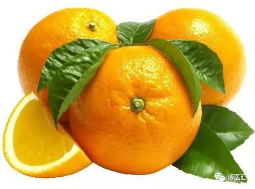 柑橘：那些不为人知的美味宝藏