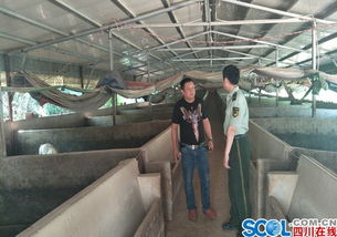 养殖场防火，安全养殖无忧