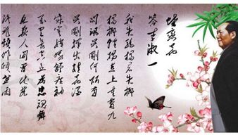 蝶恋花的花语和深刻含义究竟表达了怎样的爱情情感