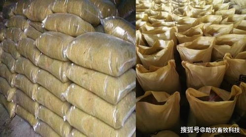 促进动物消化，增强免疫力