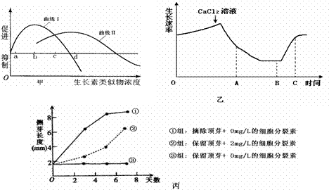 激素的作用，你知道吗？