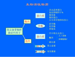 它起作用的时间是多久？