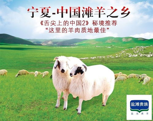 阜新市肉驴产业蓬勃发展，成为当地经济新亮点
